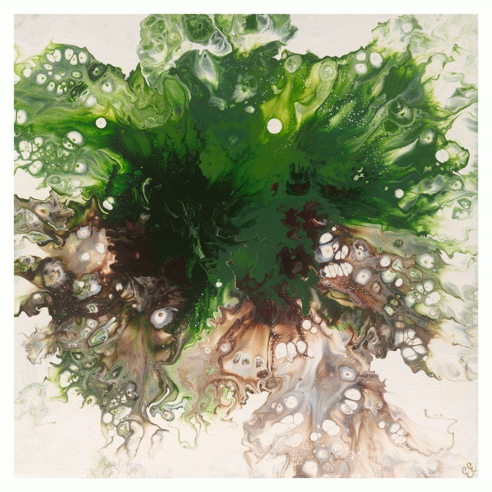 The Four Elements of Alchemy - Emily Elton